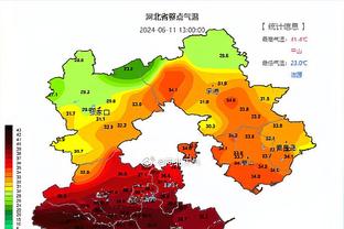 开云网页登录网址查询